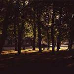 Julianne Vandervort Profile Picture