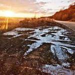 Kasandra Gottlieb Profile Picture