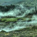 Christop Carter Profile Picture