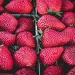 Cornelius Schmitt Profile Picture