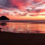 Marie Hansen Profile Picture