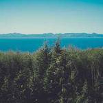 Lois Murray Profile Picture