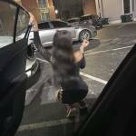 Shelby Riehle Profile Picture