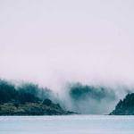 Torrey Brekke Profile Picture