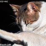 Blanche Tillman Profile Picture