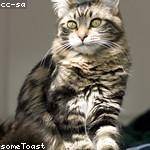 Gisselle Ratke Profile Picture