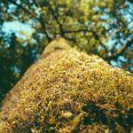 Imelda Roob Profile Picture