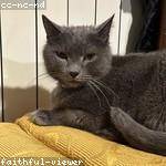 Verna Jones Profile Picture