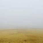 Monte Von Profile Picture