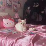 Saphire Moon Profile Picture