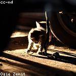 Mae Purdy Profile Picture