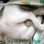 Camryn Becker Profile Picture