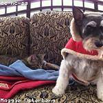 Abbey Sporer Profile Picture