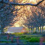 Murray Hamill Profile Picture