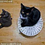 Ova Price Profile Picture