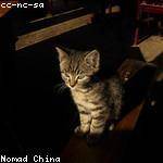 Ralph Tromp Profile Picture