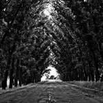 Cristian Erdman Profile Picture