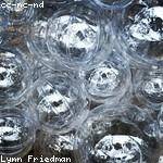 Aimee Willms Profile Picture