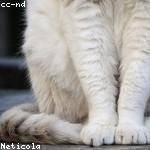 Karson Crooks Profile Picture