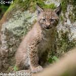 Anita Morar Profile Picture