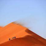 Telly Runolfsdottir Profile Picture