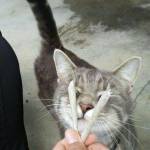 Łáÿ Ńæ Profile Picture