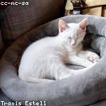 Cecil Torphy Profile Picture