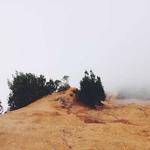 Gina Kohler Profile Picture