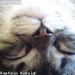 Natalie McGlynn Profile Picture