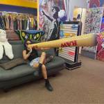 Sofi Escarabajo Profile Picture