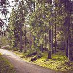 Margarette Block Profile Picture