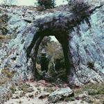 Wyman Witting Profile Picture