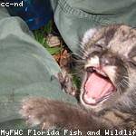 Letha Morar Profile Picture