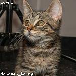 Ardella Kassulke Profile Picture