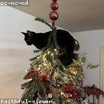 Lindsey Fahey Profile Picture