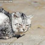 Elyse Ankunding Profile Picture