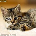 Athena Gaylord Profile Picture