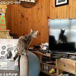 Ezra Ruecker Profile Picture