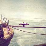 Lavinia Rau Profile Picture