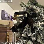 Aiyana Kutch Profile Picture