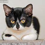 Sedrick Bartoletti Profile Picture