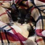 Madalyn Ziemann Profile Picture