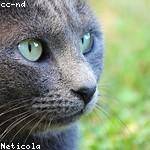 Nyasia Fisher Profile Picture