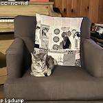 Eloise Weimann Profile Picture