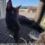 Emmett Haley Profile Picture