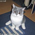 Louisa Schumm Profile Picture