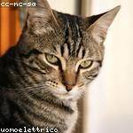 Myrtis Walter Profile Picture