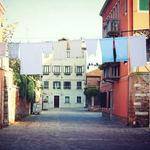 Sallie Lehner Profile Picture