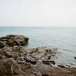 Carlie Walter Profile Picture