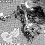 Germaine Bayer Profile Picture